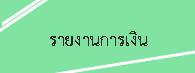 รายงานการเงิน